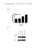 MODULATION OF DRUG SENSITIVITY diagram and image