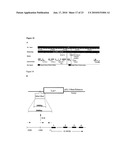 MODULATION OF DRUG SENSITIVITY diagram and image