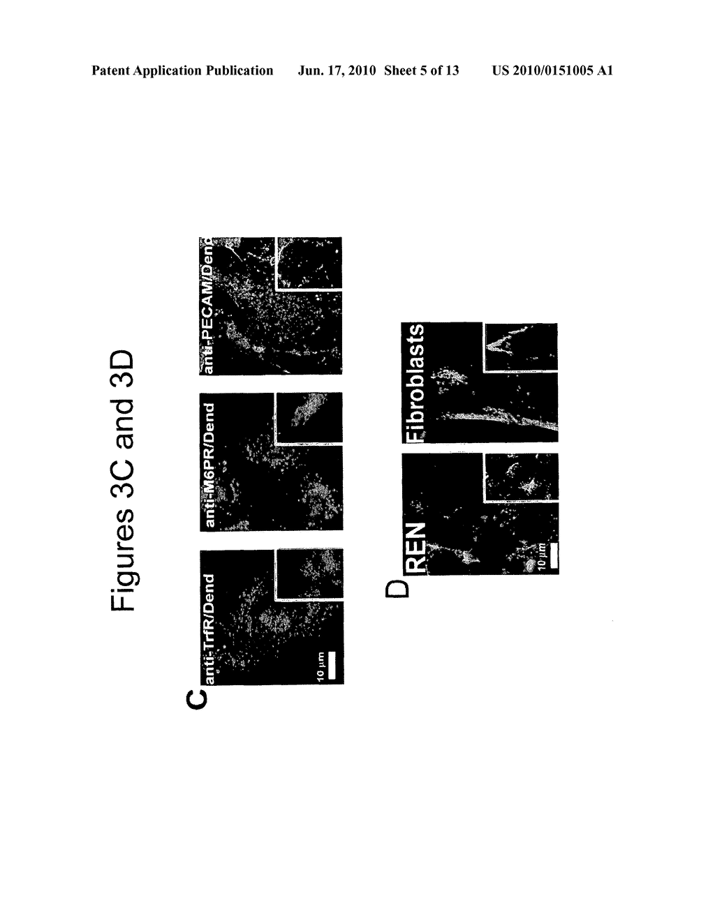 TARGETED CARRIERS FOR INTRACELLULAR DRUG DELIVERY - diagram, schematic, and image 06