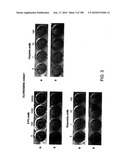 CANCER THERAPY SENSITIZER diagram and image