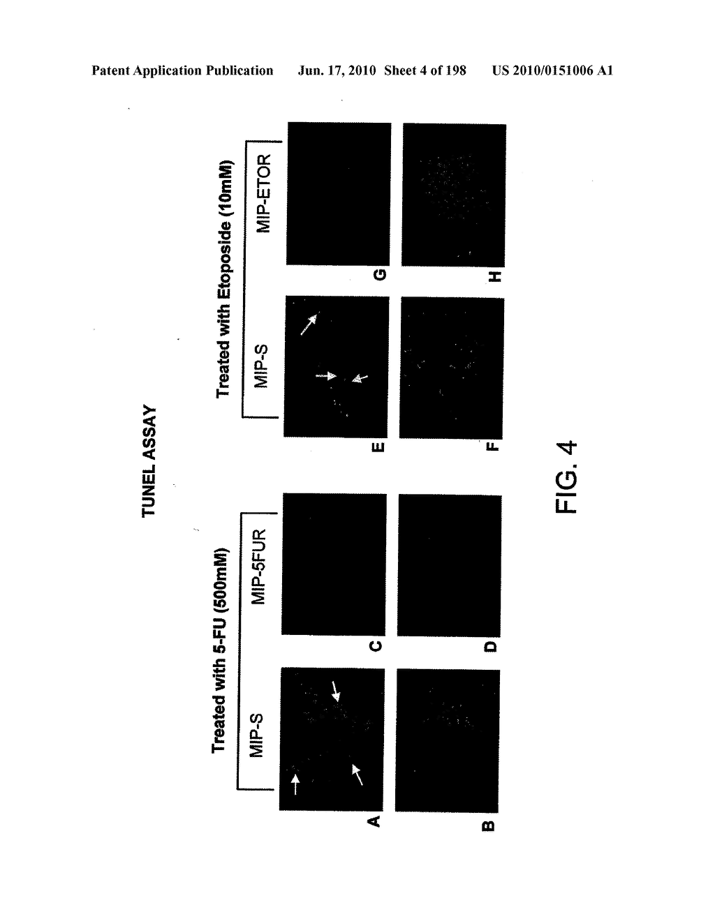 CANCER THERAPY SENSITIZER - diagram, schematic, and image 05