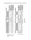 CANCER THERAPY SENSITIZER diagram and image