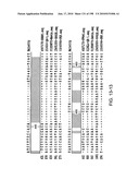 CANCER THERAPY SENSITIZER diagram and image