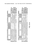 CANCER THERAPY SENSITIZER diagram and image