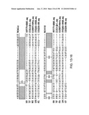 CANCER THERAPY SENSITIZER diagram and image