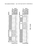 CANCER THERAPY SENSITIZER diagram and image