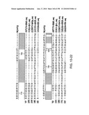 CANCER THERAPY SENSITIZER diagram and image