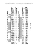 CANCER THERAPY SENSITIZER diagram and image