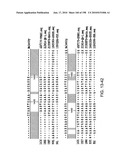 CANCER THERAPY SENSITIZER diagram and image