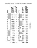 CANCER THERAPY SENSITIZER diagram and image