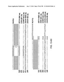 CANCER THERAPY SENSITIZER diagram and image