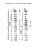 CANCER THERAPY SENSITIZER diagram and image