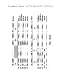 CANCER THERAPY SENSITIZER diagram and image