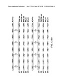 CANCER THERAPY SENSITIZER diagram and image