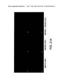 CANCER THERAPY SENSITIZER diagram and image