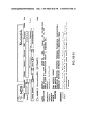 CANCER THERAPY SENSITIZER diagram and image