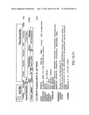 CANCER THERAPY SENSITIZER diagram and image