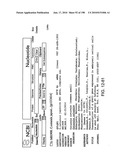 CANCER THERAPY SENSITIZER diagram and image