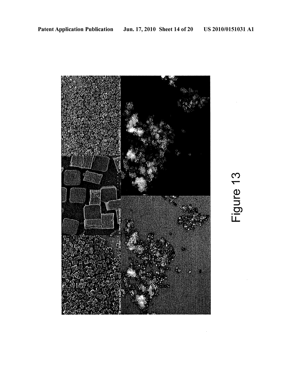 DISCRETE SIZE AND SHAPE SPECIFIC ORGANIC NANOPARTICLES DESIGNED TO ELICIT AN IMMUNE RESPONSE - diagram, schematic, and image 15