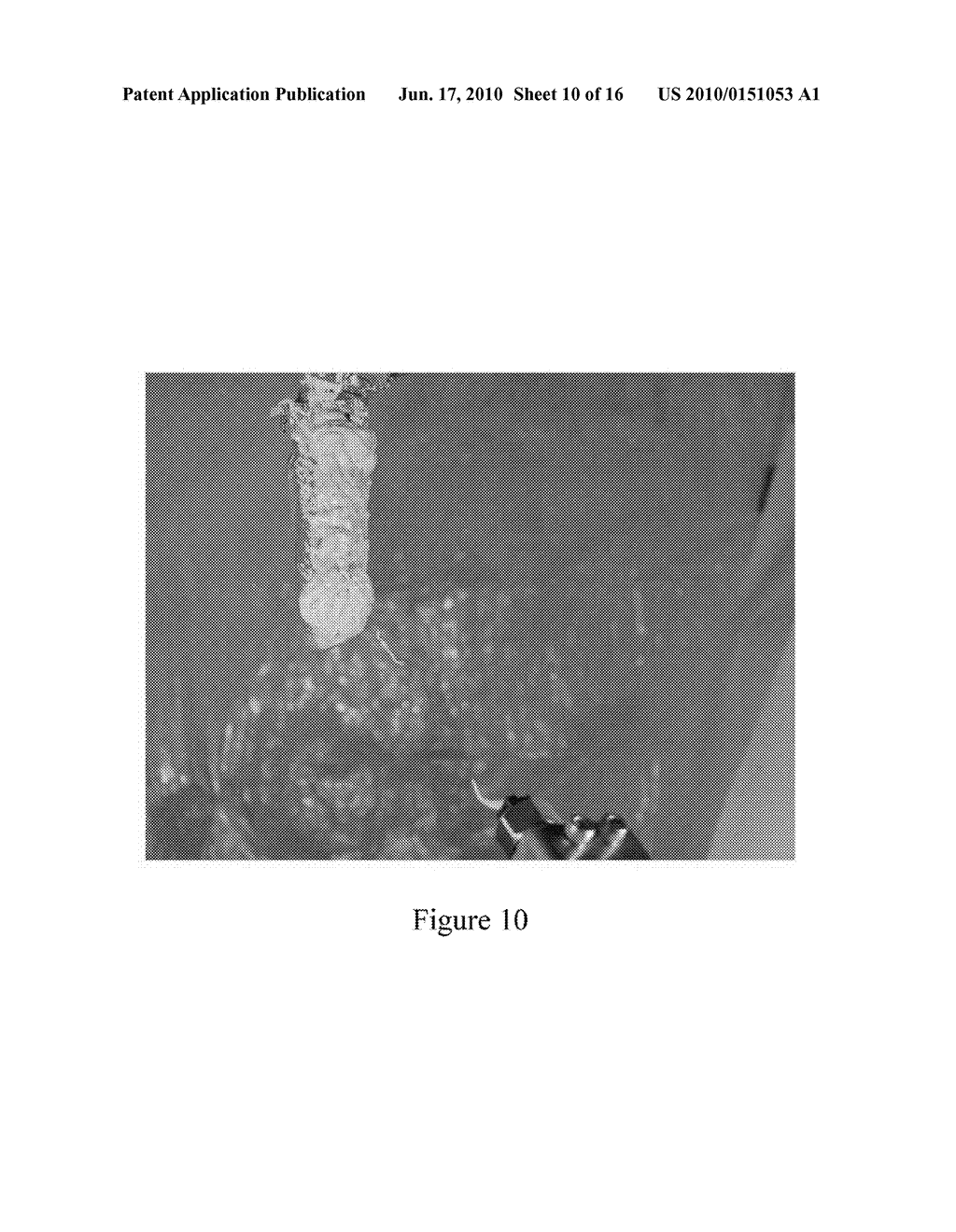 SYSTEM AND METHOD FOR THE DELIVERY OF A SANITIZING FOAM - diagram, schematic, and image 11