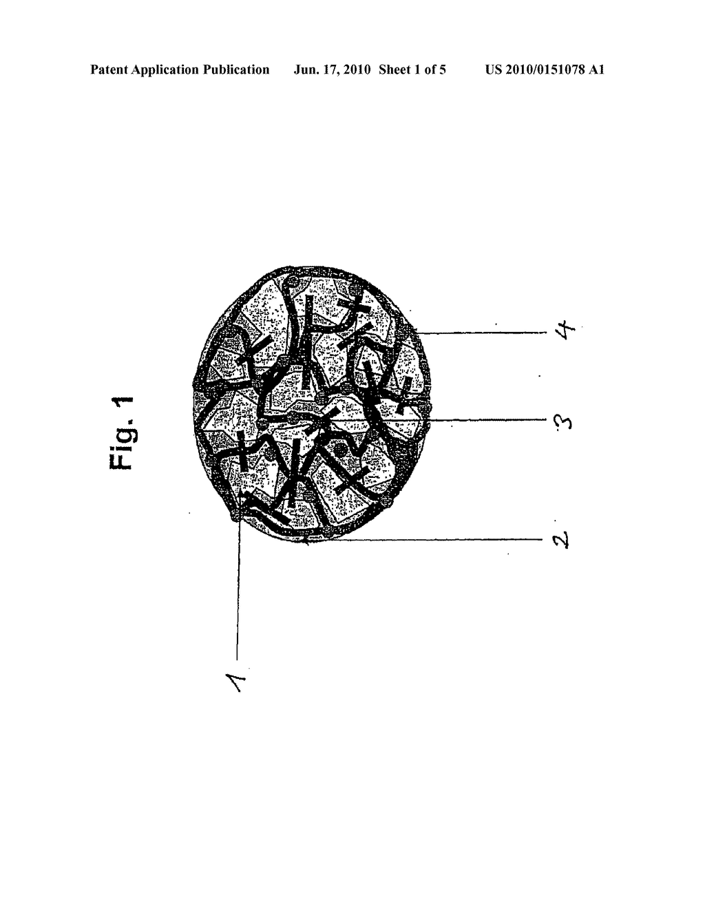 PASTA WITH A REDUCED AMOUNT OF DIGESTIBLE STARCH - diagram, schematic, and image 02