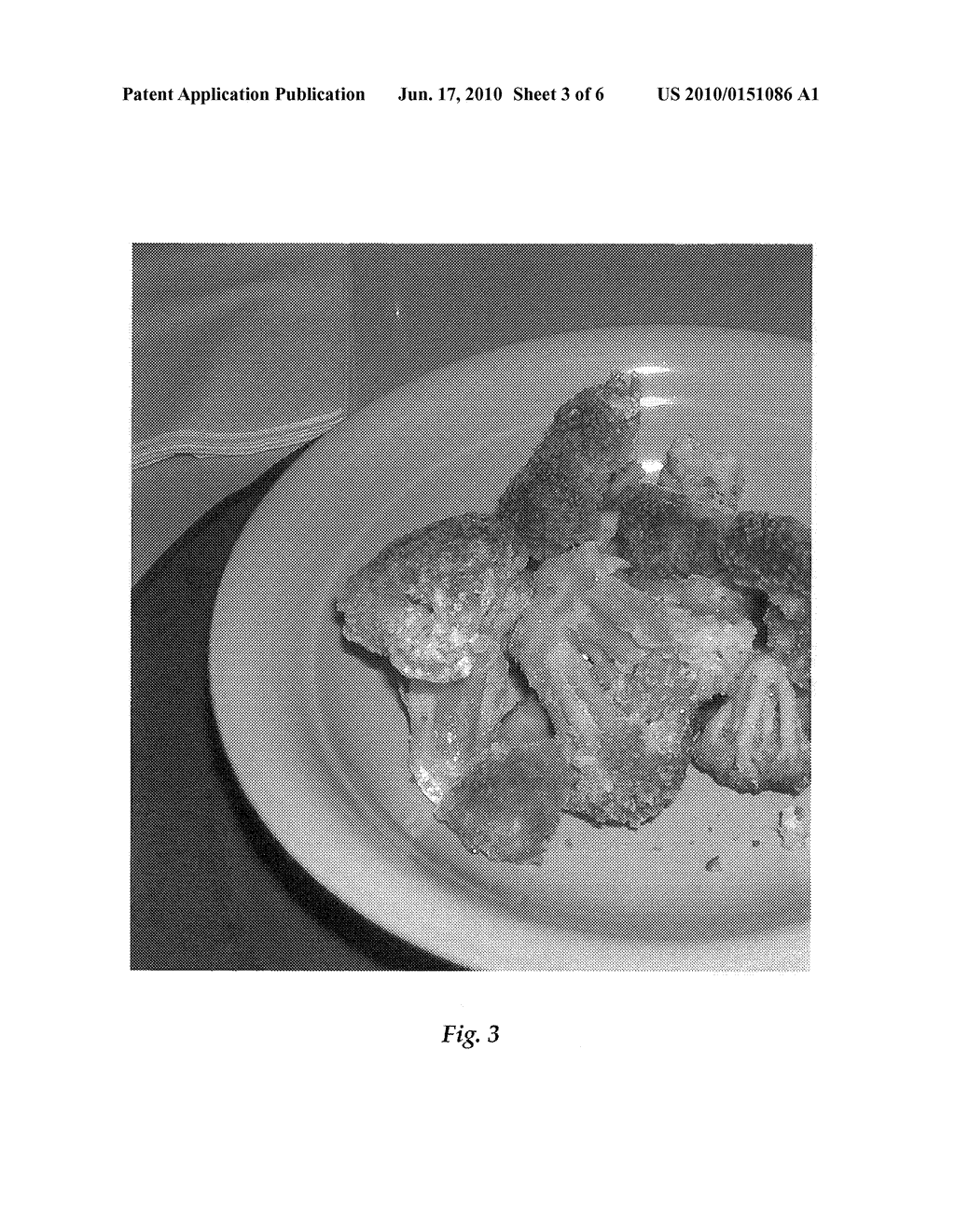 Powdered Sauces And Uses Thereof - diagram, schematic, and image 04