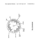 METHODS, APPARATUSES, AND SYSTEMS FOR THE REMOVAL OF PEELS FROM AGRICULTURAL PRODUCE diagram and image