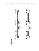 Novel Triglyceride and Fuel Compositions diagram and image