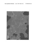 METHOD FOR PARTIALLY COATING OPEN CELL POROUS MATERIALS diagram and image