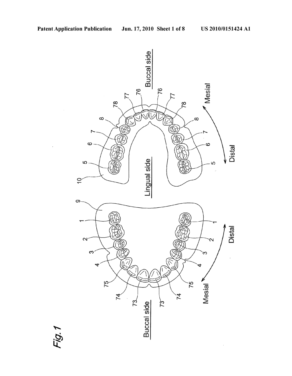 ARTIFICIAL MOLAR TEETH - diagram, schematic, and image 02