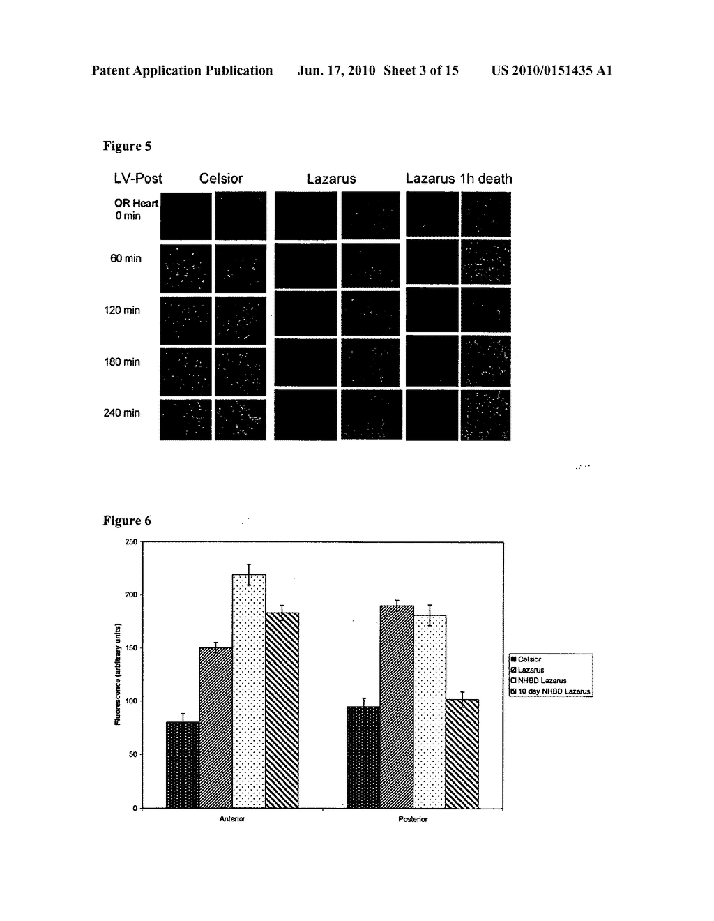 COMPOSITIONS AND METHODS FOR TISSUE PRESERVATION - diagram, schematic, and image 04