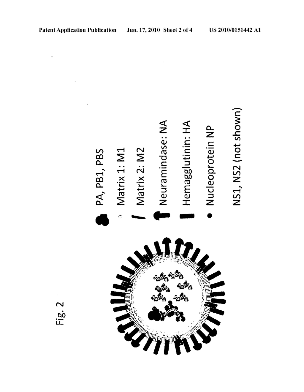 METHOD FOR DETECTING EMERGING PANDEMIC INFLUENZA - diagram, schematic, and image 03