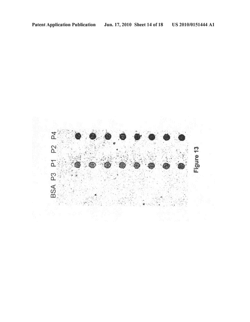 Detection method for human pappilomavirus (HPV) and its application in cervical cancer - diagram, schematic, and image 15