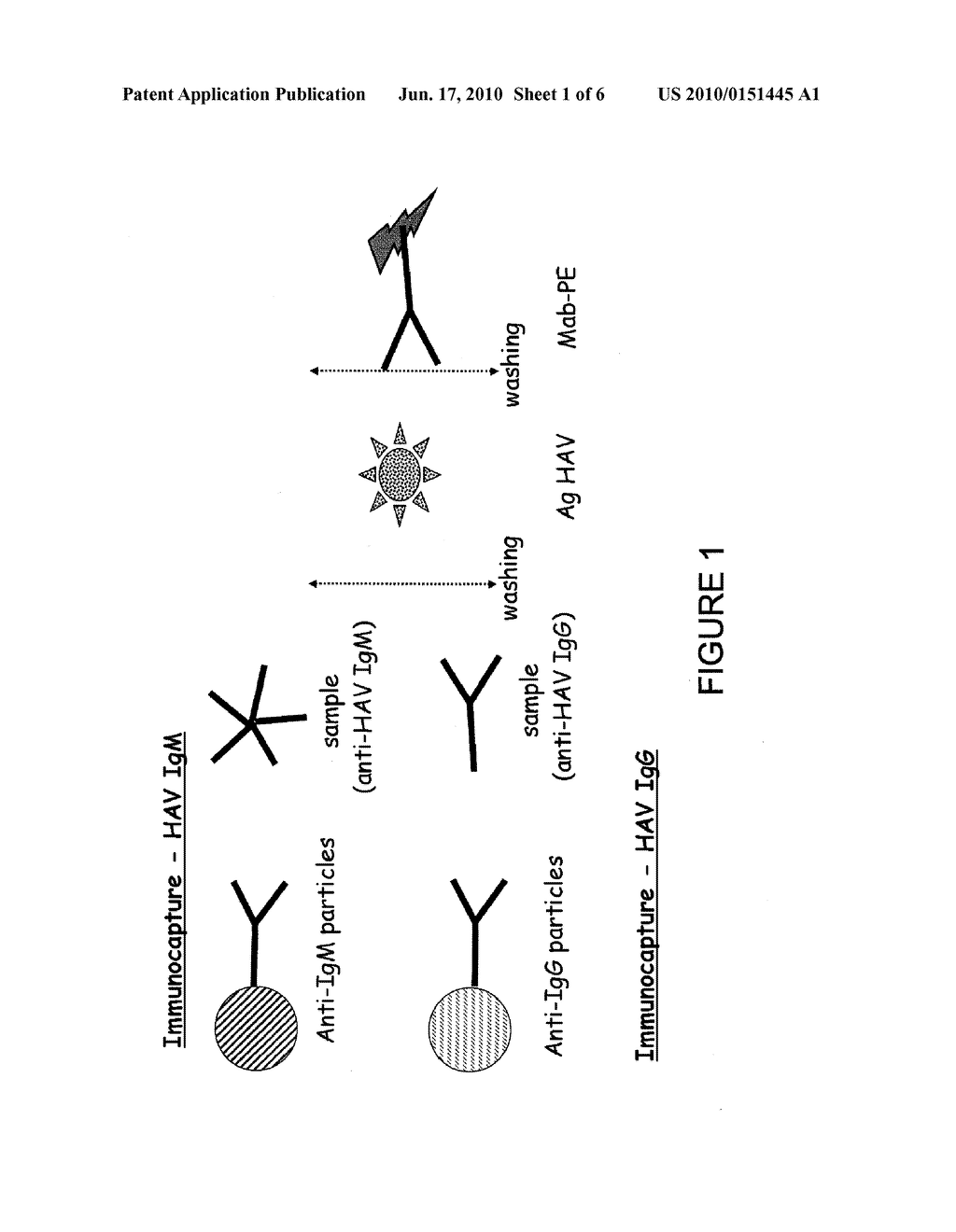 Multiplex Method for Detecting an Infection - diagram, schematic, and image 02