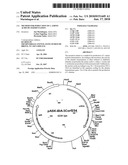 Method for poduction of l-amino acids by fermentation diagram and image