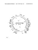 Method for poduction of l-amino acids by fermentation diagram and image