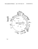 Method for poduction of l-amino acids by fermentation diagram and image