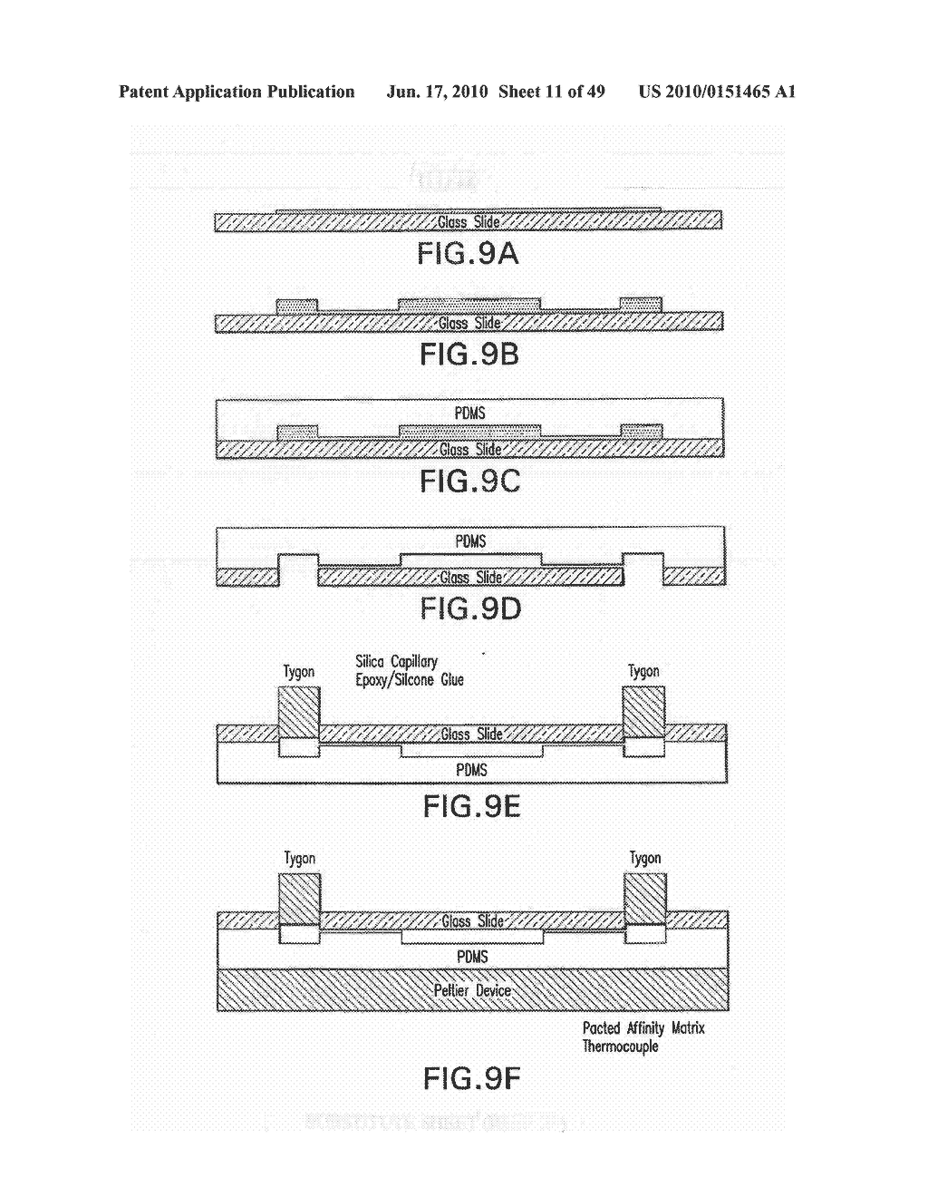 Selective Capture and Release of Analytes - diagram, schematic, and image 12