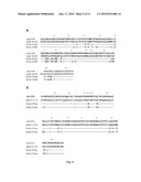 OSTEOPONTIN FUNCTIONAL EPITOPES, MONOCLONAL ANTIBODIES AGAINST THE EPITOPES AND USES THEREOF diagram and image