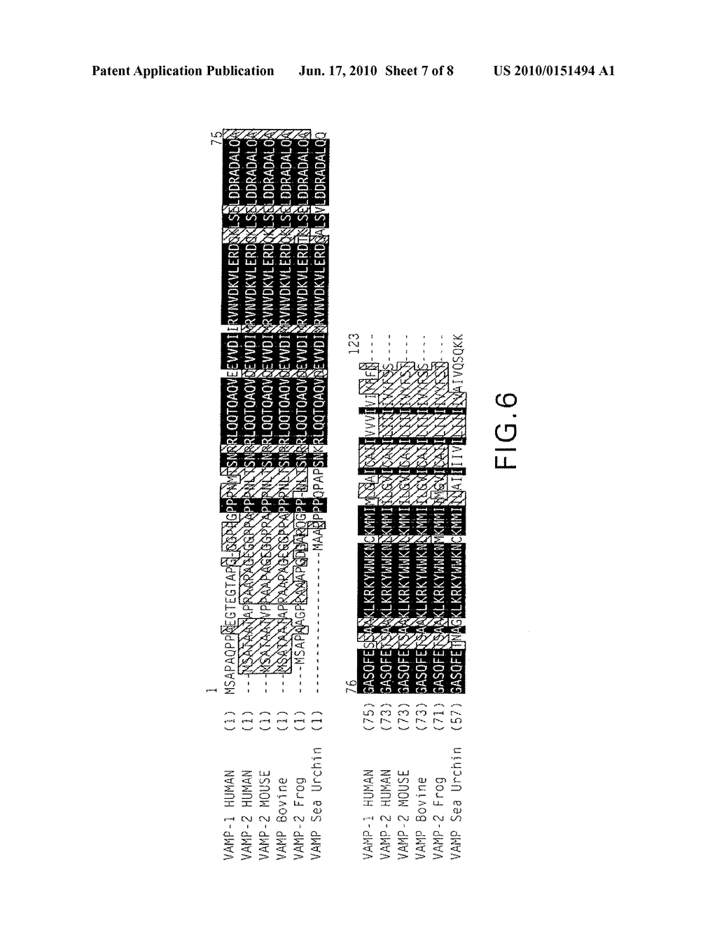 FRET PROTEASE ASSAYS FOR CLOSTRIDIAL TOXINS - diagram, schematic, and image 08