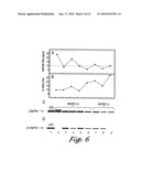 Forms of Prostate Specific Antigens and Methods for their Detection diagram and image