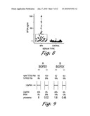 Forms of Prostate Specific Antigens and Methods for their Detection diagram and image