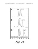 Forms of Prostate Specific Antigens and Methods for their Detection diagram and image