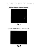 COMPOUNDS diagram and image