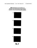 COMPOUNDS diagram and image