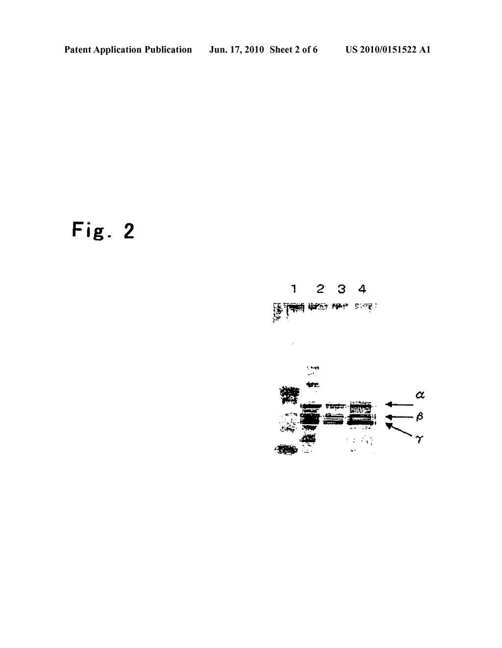 Process For Producing Recombinant Fibrinogen Highly Producing Cell and Highly Producing Cell - diagram, schematic, and image 03