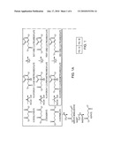 Biological Synthesis of Difunctional Alkanes from Carbohydrate Feedstocks diagram and image