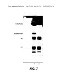 Cleaning Enzymes and Fragrance Production diagram and image