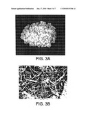 SYSTEMS AND METHODS FOR PRODUCING BIOFUELS AND RELATED MATERIALS diagram and image