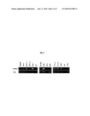 MEANS AND METHODS FOR DIAGNOSING AND TREATING CANCER BASED ON THE FRMD3 GENE diagram and image